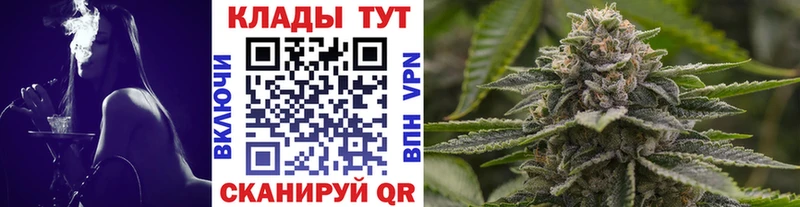 Купить закладку Метамфетамин  Конопля  Меф  ГАШ  COCAIN  Новоржев