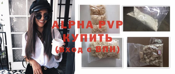 шишки Горняк
