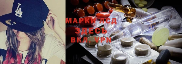мяу мяу мука Вяземский